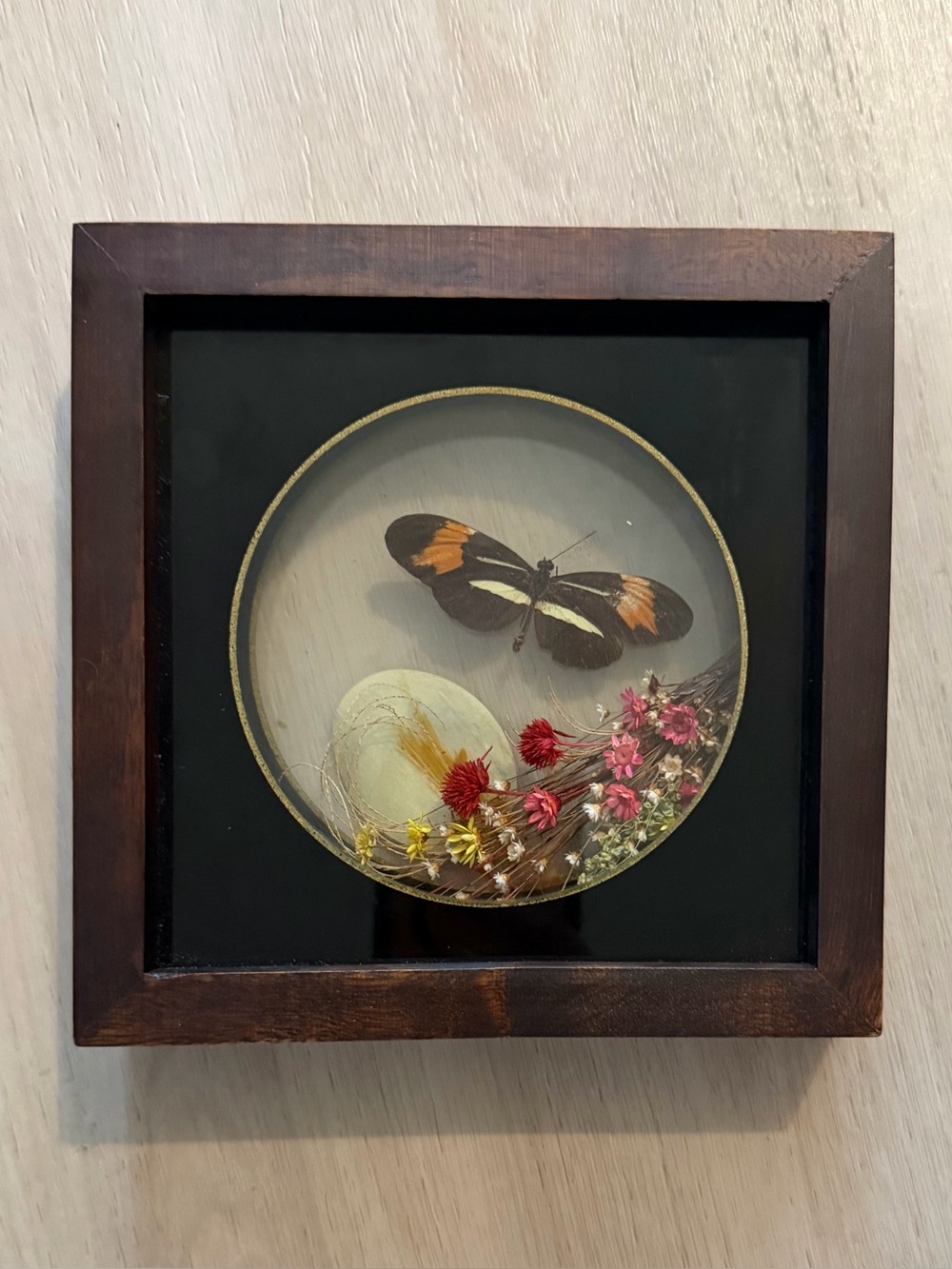 Vintage Taxidermy Butterfly / Dried Flowers Shadow Box Brazil Oddities Handmade
